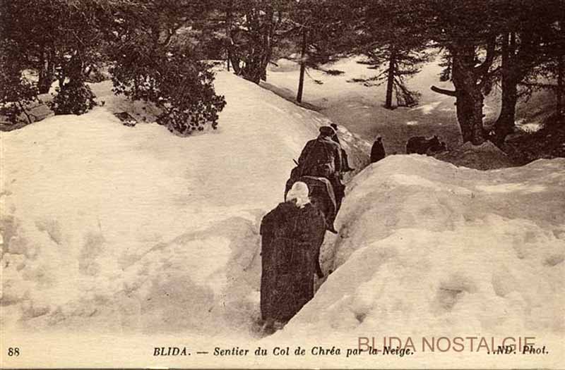 Chra-hiver (10).jpg